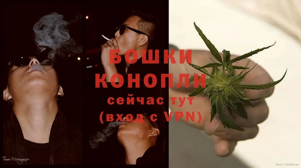 spice Алексин