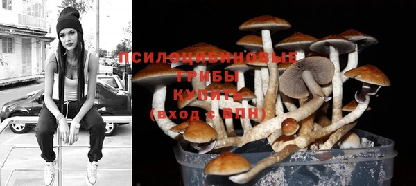 COCAINE Переславль-Залесский