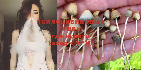 spice Алексин