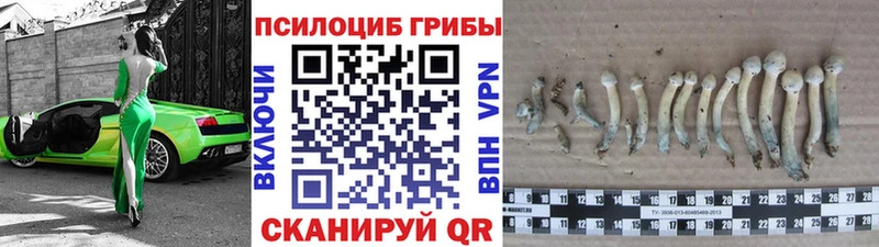 Псилоцибиновые грибы Magic Shrooms Новая Ляля