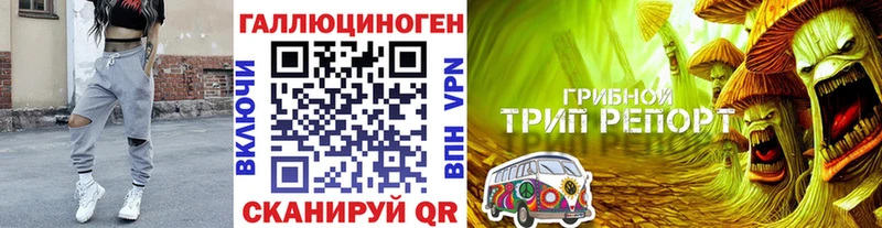 Псилоцибиновые грибы Psilocybine cubensis  цены   Новая Ляля 